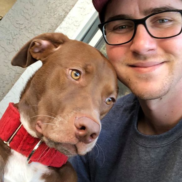 Meet your Posher, Andrew - Picture 1 of 1